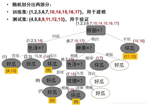 人工智能基礎(chǔ)知識(shí)與軟件開發(fā)入門指南